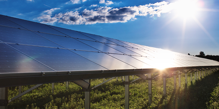 solar-field-in-sunshine